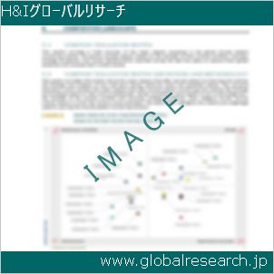 グローバルリサーチ調査レポートのイメージ